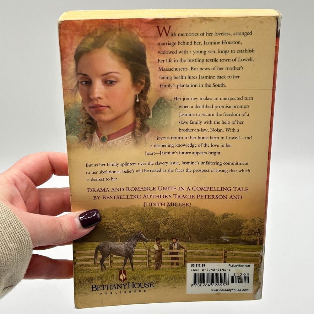 Lights of Lowell Series BUNDLE of 3 Peterson Miller Paperback Historical Fiction - Picture 5 of 13